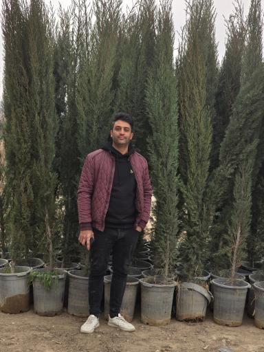 عکس بازار گل و گیاه برگ سبز هاشم پور 