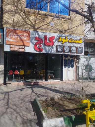 عکس پیتزا کاج