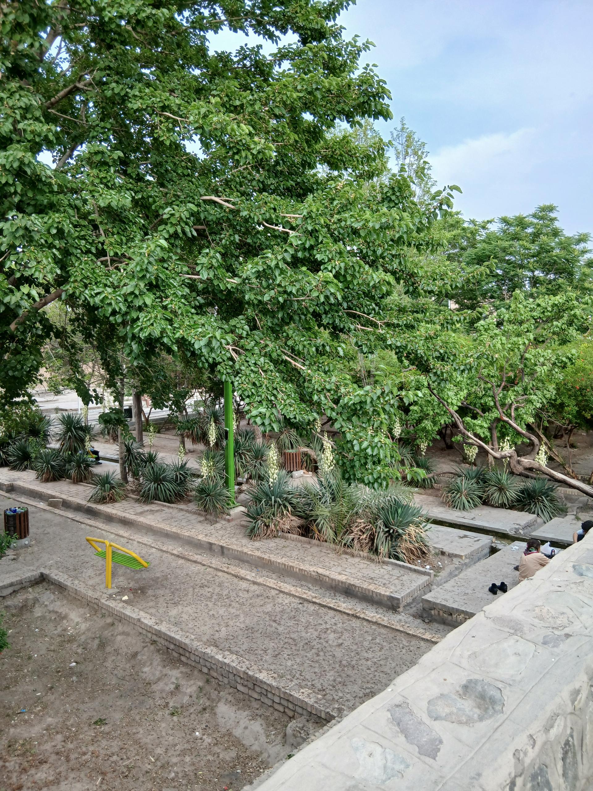 عکس پارک فیروز