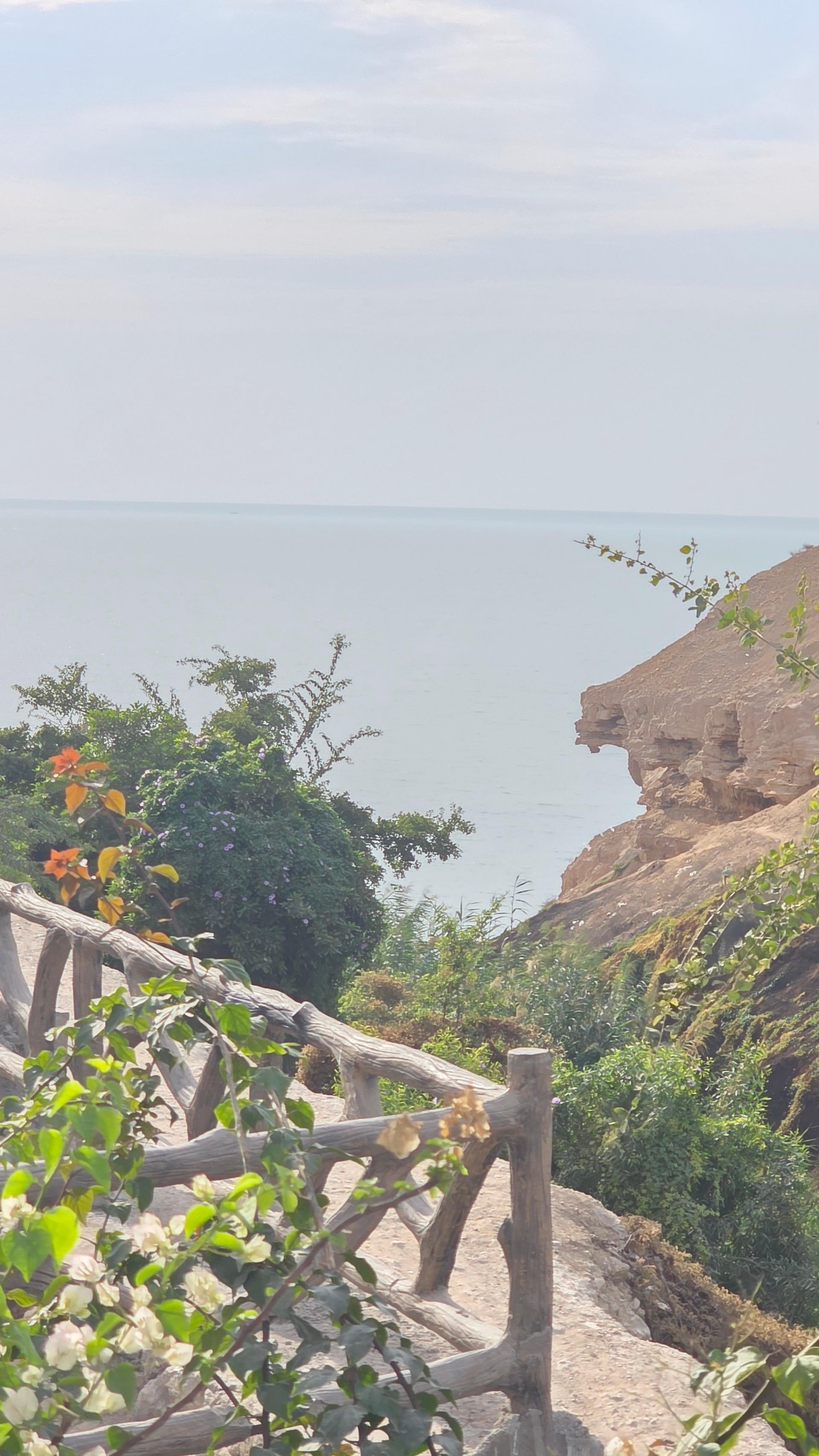 عکس پارک ساحلی ریشهر