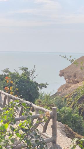 عکس پارک ساحلی ریشهر