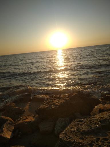 عکس بوستان ساحلی ریشهر