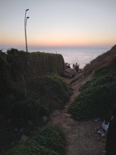 عکس پارک ساحلی ریشهر