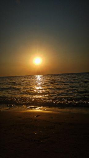 عکس بوستان ساحلی ریشهر