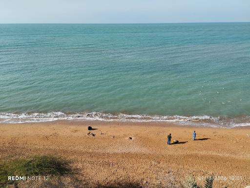 عکس بوستان ساحلی ریشهر