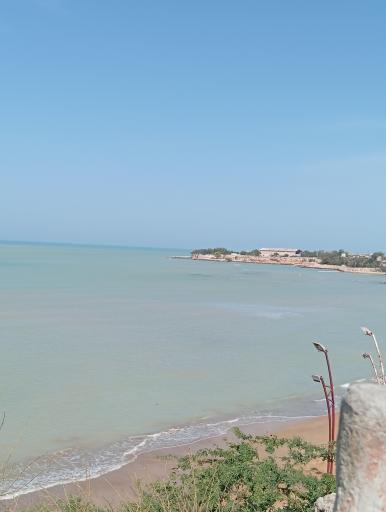 عکس بوستان ساحلی ریشهر