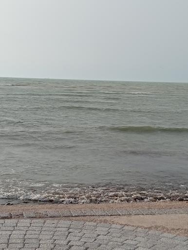 عکس بوستان ساحلی ریشهر