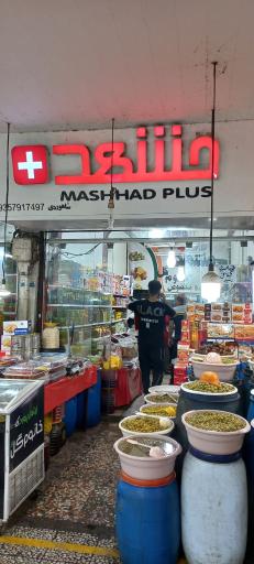 عکس زیتون مشهد پلاس