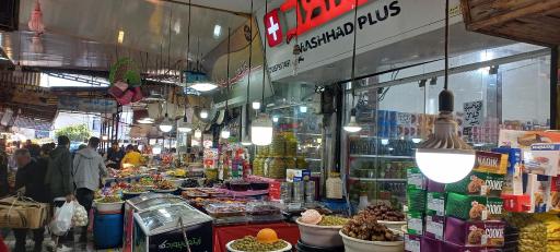 عکس زیتون مشهد پلاس