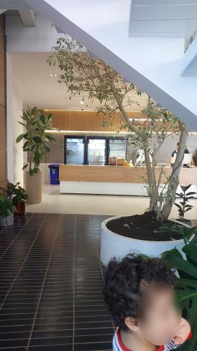 عکس شیرینی لیلی چمستان