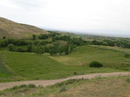 عکس کردکندی