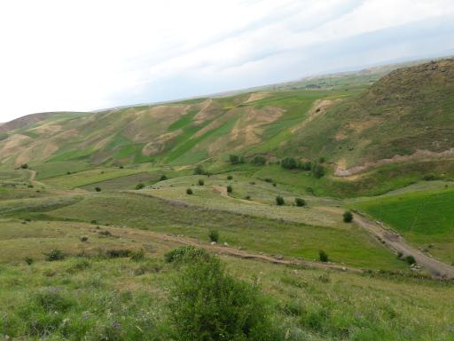 عکس کردکندی
