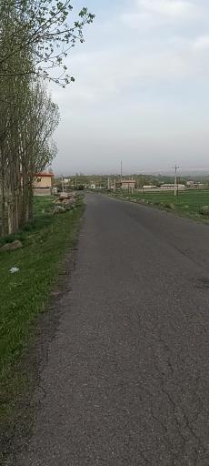 عکس کردکندی