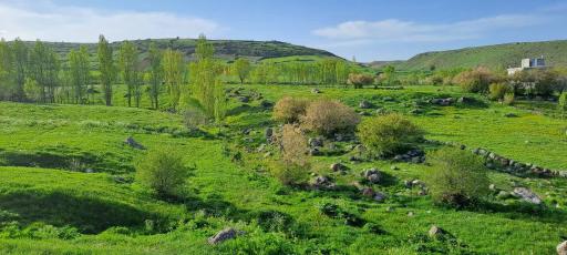 عکس کردکندی
