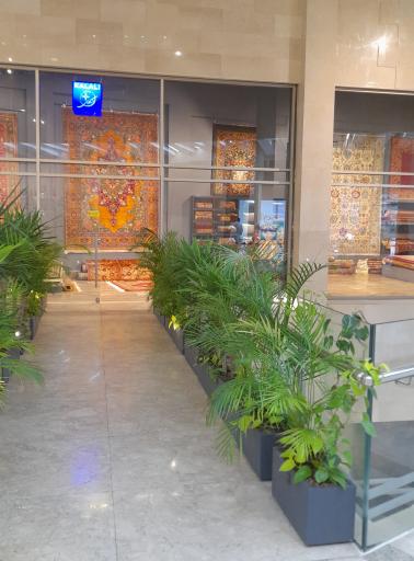 عکس کوهسر مال