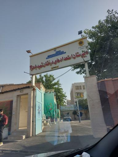 عکس دبیرستان استعدادهای درخشان باهنر۴