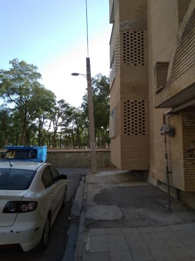 عکس مجتمع زنبق