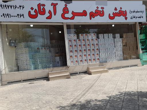 عکس تخم مرغ ارتان