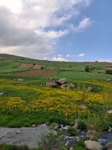 عکس کردکندی