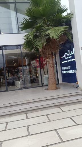 عکس شیرینی لیلی چمستان