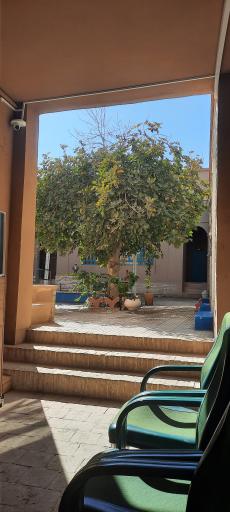 عکس بوم گردی خانم یگانه