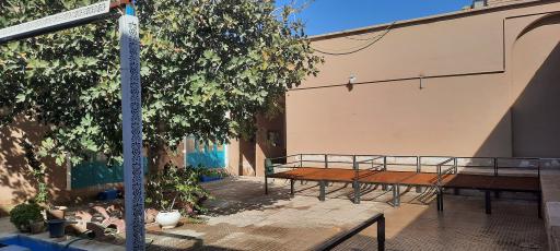 عکس بوم گردی خانم یگانه