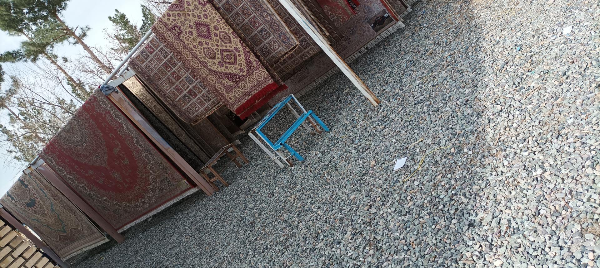 عکس قالیشویی سیادت 