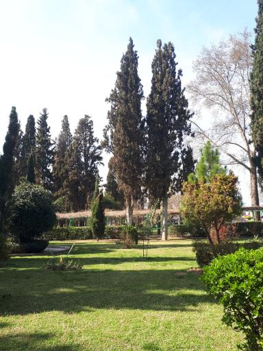 عکس کاخ موزه گرگان