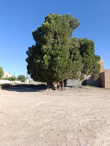 عکس باغ فراگرد