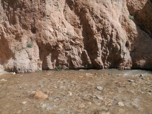 عکس تنگه واشی (ساواشی)