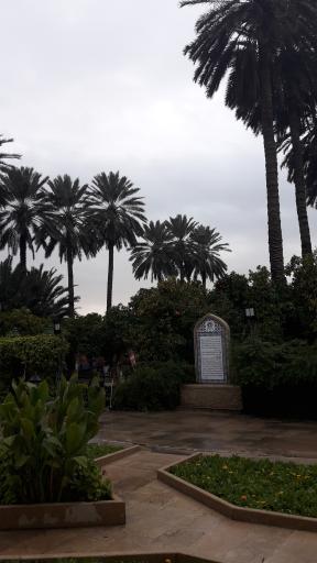 عکس باغ موزه نارنجستان قوام