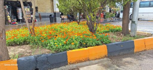 عکس پایانه مسافربری شهید مدرس