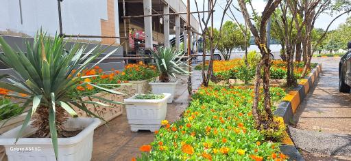 عکس پایانه مسافربری شهید مدرس