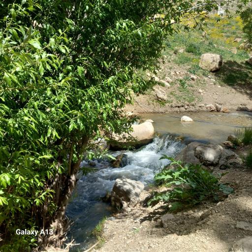 عکس تنگه واشی (ساواشی)