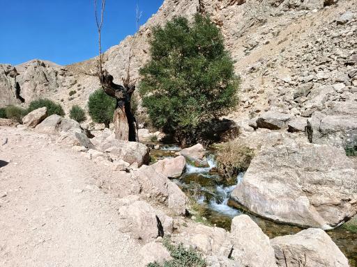 عکس تنگه واشی (ساواشی)