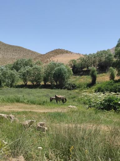 عکس تنگه واشی (ساواشی)