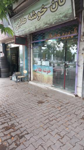 عکس نان بربری خوشه طلایی