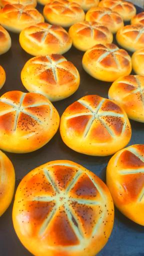 عکس کلوچه و کوکی سنتی برادران محسنی