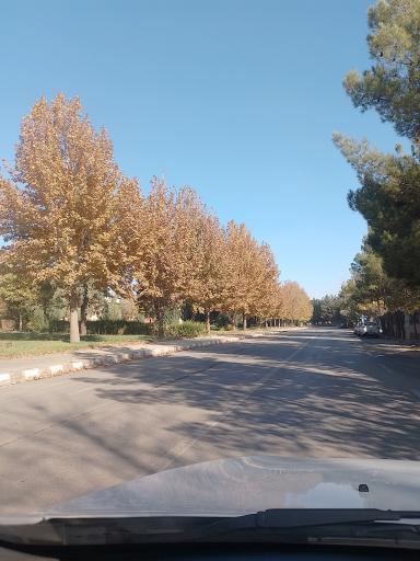 عکس بوستان صنعت