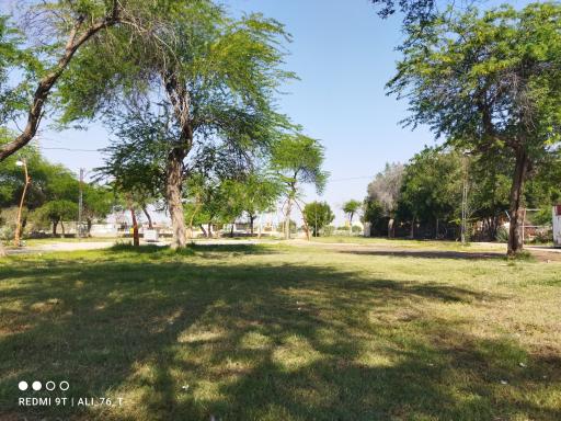 عکس فضای سبز 