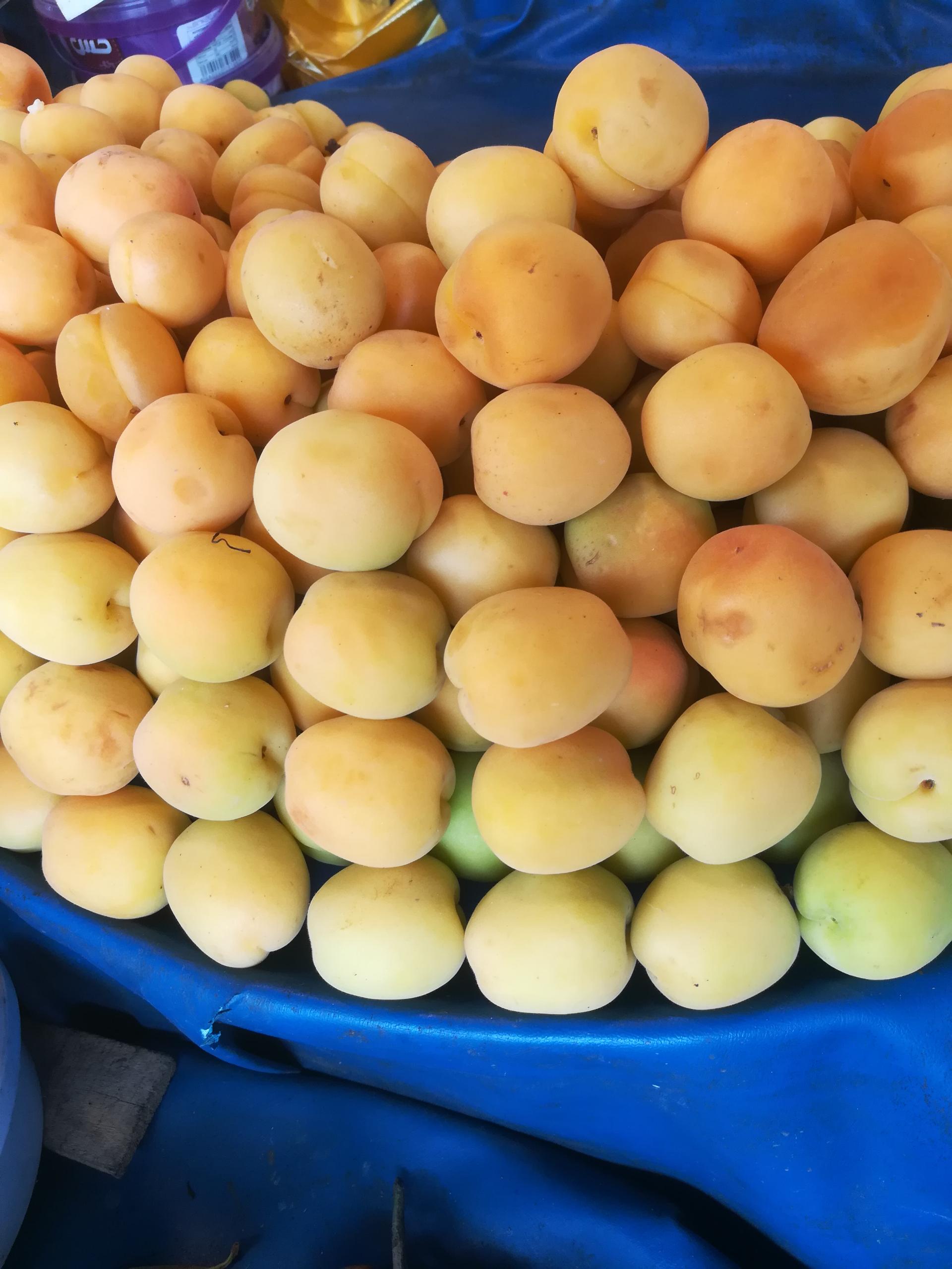 عکس میوه فروشی چهار فصل