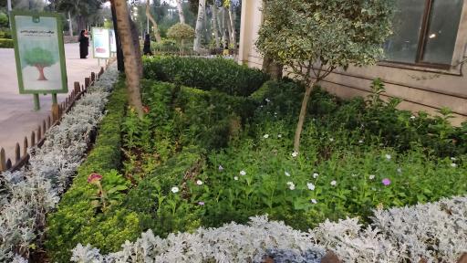 عکس پارک شهید چمران