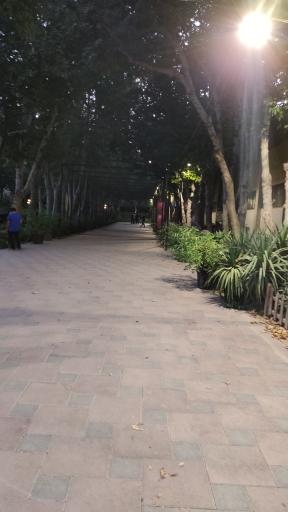 عکس پارک شهید چمران