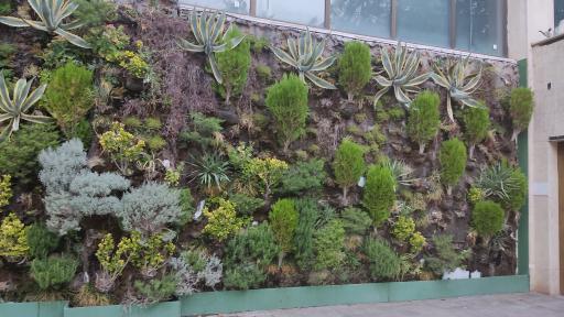 عکس پارک شهید چمران