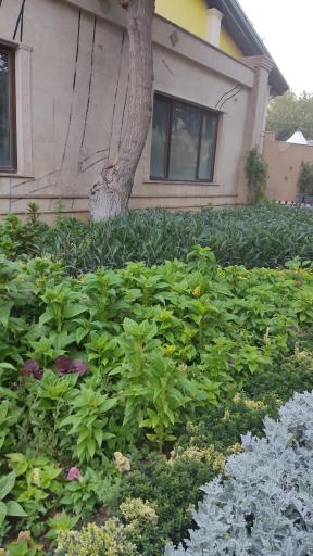 عکس پارک شهید چمران