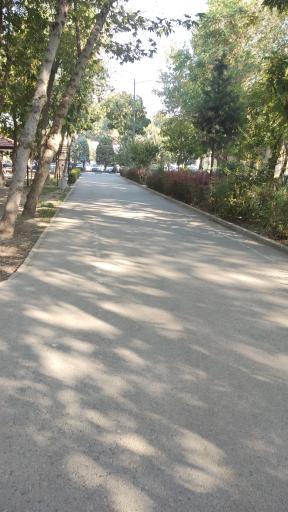 عکس پارک شهید چمران