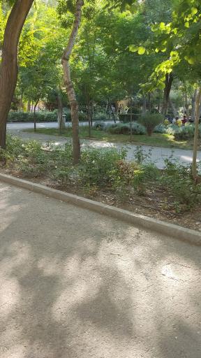 عکس پارک شهید چمران