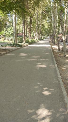 عکس پارک شهید چمران