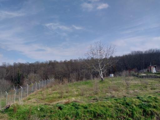 عکس اقامتگاه دوده