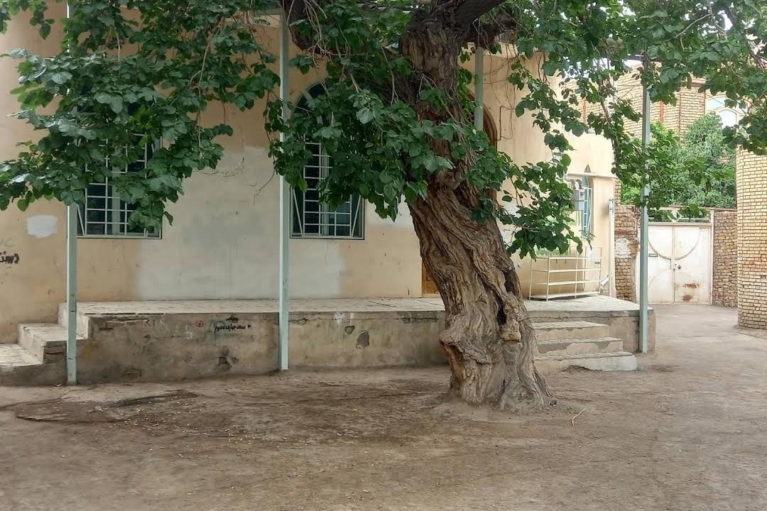 عکس مسجد چهارده معصوم(ع) حصارسرخ (حولی باغ)